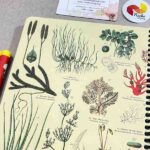 دفتر مشق دانشمندان گیاهان سبز جلد