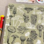 دفتر مشق دانشمندان قارچ جلد