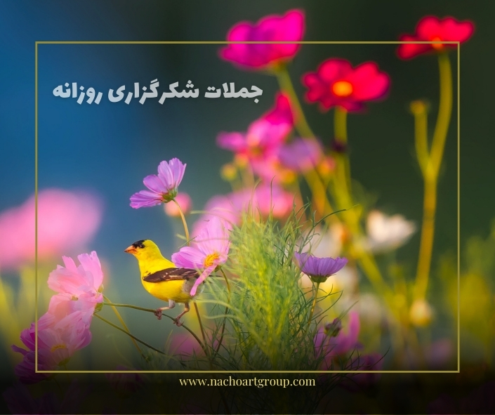 جملات شکرگزاری روزانه