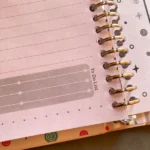 دفتر کلاسور فانتزی A4 4